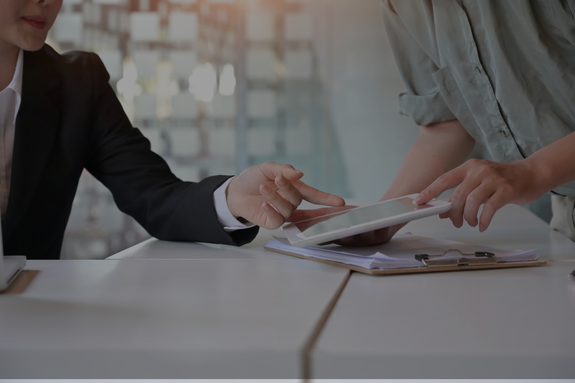 Software Application Audits